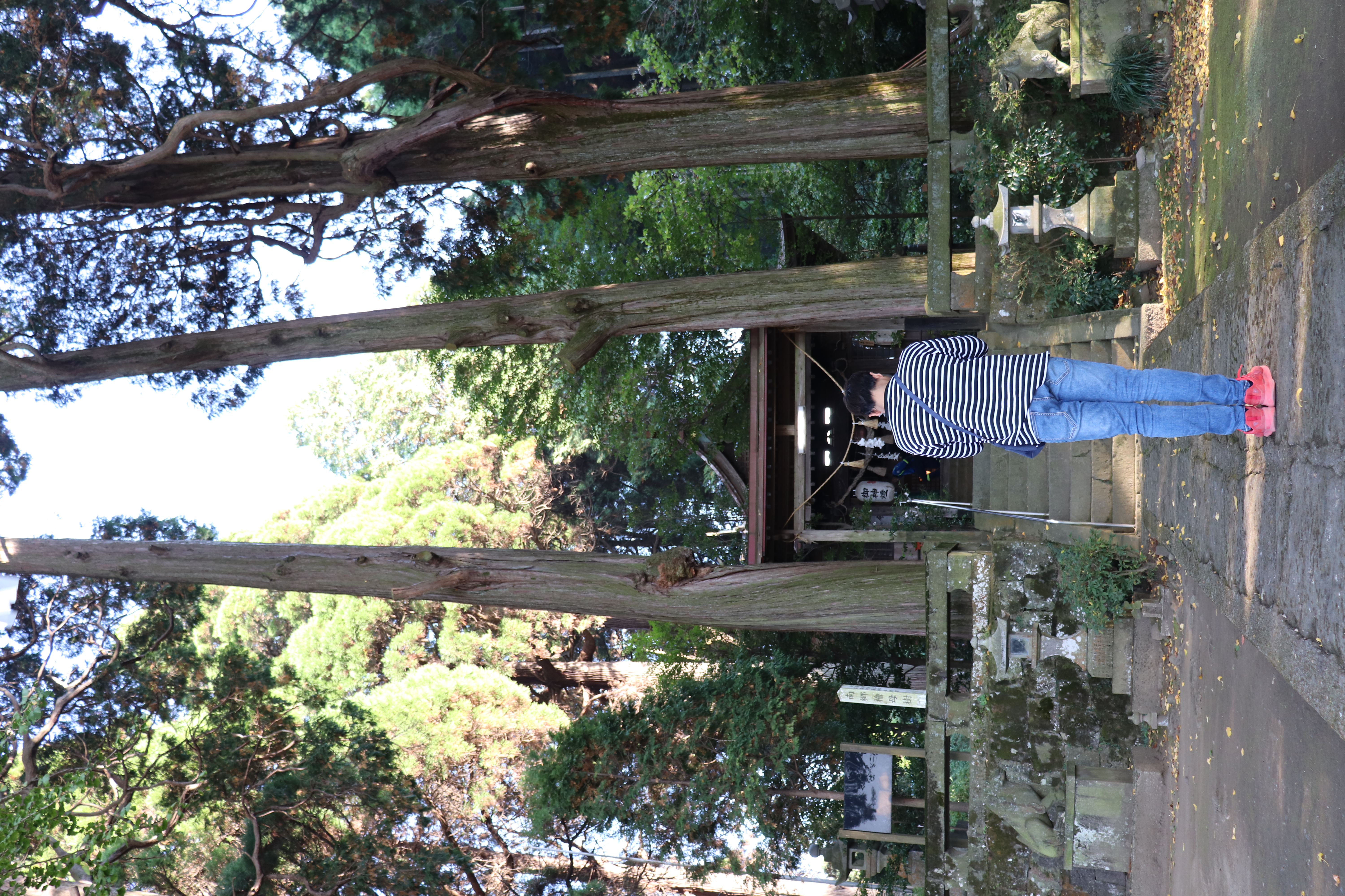 Jinja